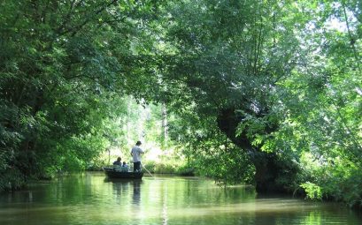 Découvrir la vendée