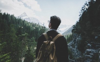 entre le Rhin et les Vosges