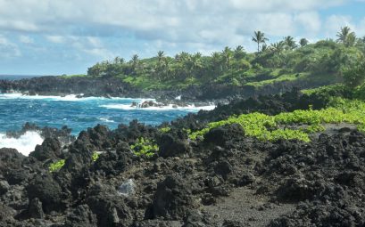 Paysage de la Réunion, mer et littoral