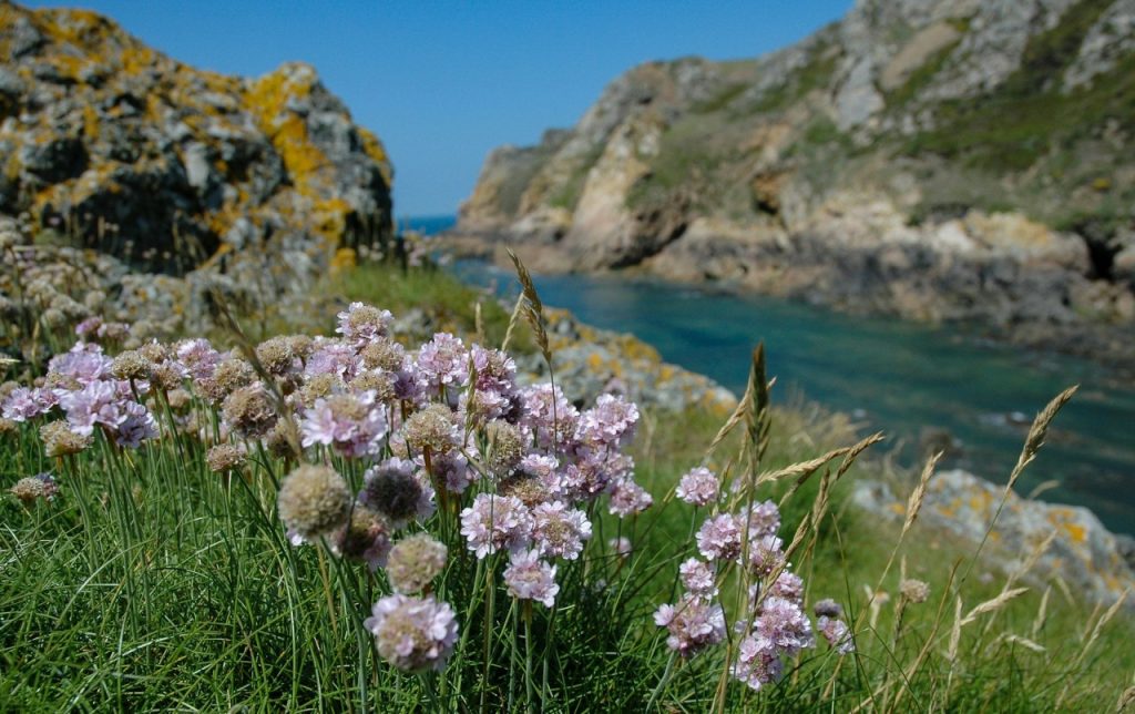 Le Pulec, (Stinky Bay), St. Ouen, Jersey,